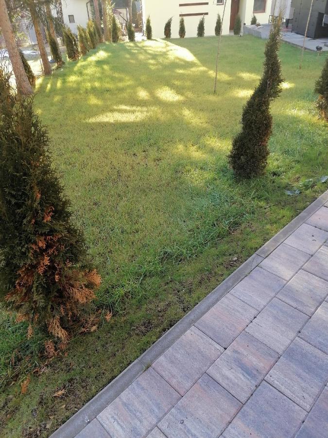 Forest Andrijana Zlatibor Exterior foto